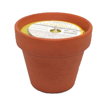 Vasetto in terracotta,...